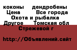 коконы    дендробены › Цена ­ 25 - Все города Охота и рыбалка » Другое   . Томская обл.,Стрежевой г.